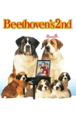 2w37CwQa0rAvbMZfQAswMRfJmem 2w37cwqa0ravbmzfqaswmrfjmem - DesireMovies, DesireMovies2.My