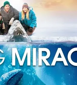 Big-Miracle-2012-P Big miracle 2012 p - DesireMovies, DesireMovies2.My