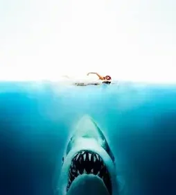 Jaws-1975-p Jaws 1975 p - DesireMovies, DesireMovies2.My