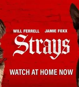 Strays-2023-p Strays 2023 p - DesireMovies, DesireMovies2.My