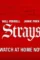 Strays 2023 p - DesireMovies, DesireMovies2.My