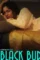A49c104c45edd8bbb29aa71cabbbb1de - DesireMovies, DesireMovies2.My