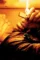 Iqxvrneituirivnnm3vf8ift7c0 - DesireMovies, DesireMovies2.My