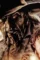 Maxresdefault 22 - DesireMovies, DesireMovies2.My