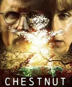 the-chestnut-man-netflix-review-1200x900-1 The chestnut man netflix review 1200x900 1 - DesireMovies, DesireMovies2.My
