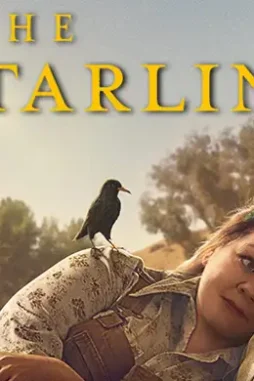 the_starling_2021_folder_icon_by_hoachy_new_derkwbl-fullview The_starling_2021_folder_icon_by_hoachy_new_derkwbl fullview - DesireMovies, DesireMovies2.My
