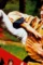 Dragon fist 1979 - DesireMovies, DesireMovies2.My