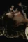The favourite poster 2 cropped - DesireMovies, DesireMovies2.My