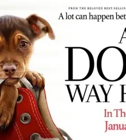 adogswayhome2019e Adogswayhome2019e - DesireMovies, DesireMovies2.My