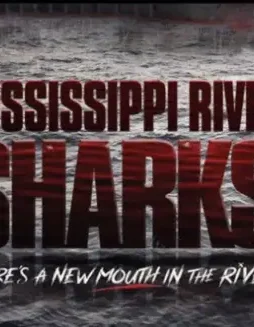 ms-river-sharks-1 Ms river sharks - DesireMovies, DesireMovies2.My