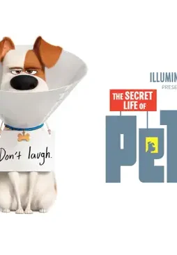 pets-1080x793-5be3683f0ba23-1 Pets 1080x793 5be3683f0ba23 1 - DesireMovies, DesireMovies2.My