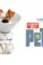 Pets 1080x793 5be3683f0ba23 1 - DesireMovies, DesireMovies2.My